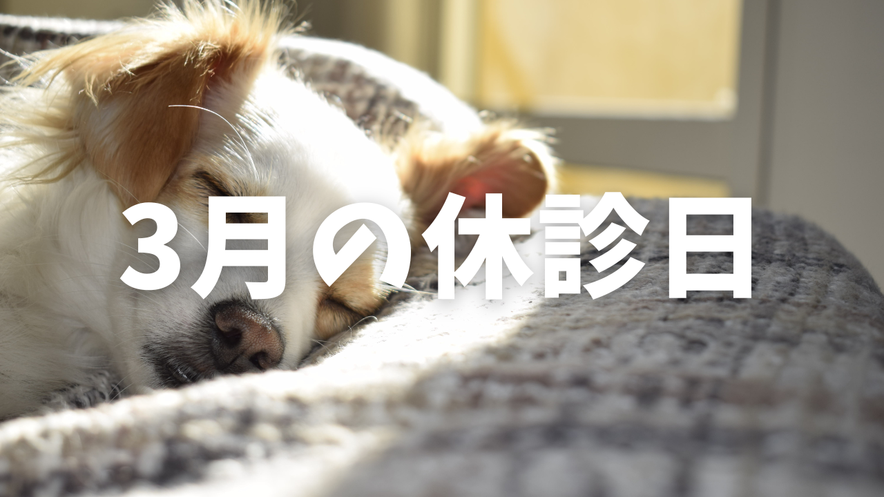 3月中の休診日のお知らせ