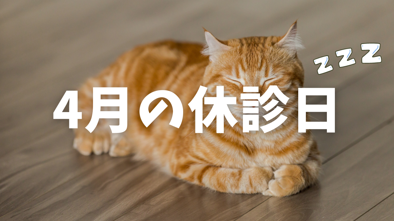 4月中の休診日のお知らせ