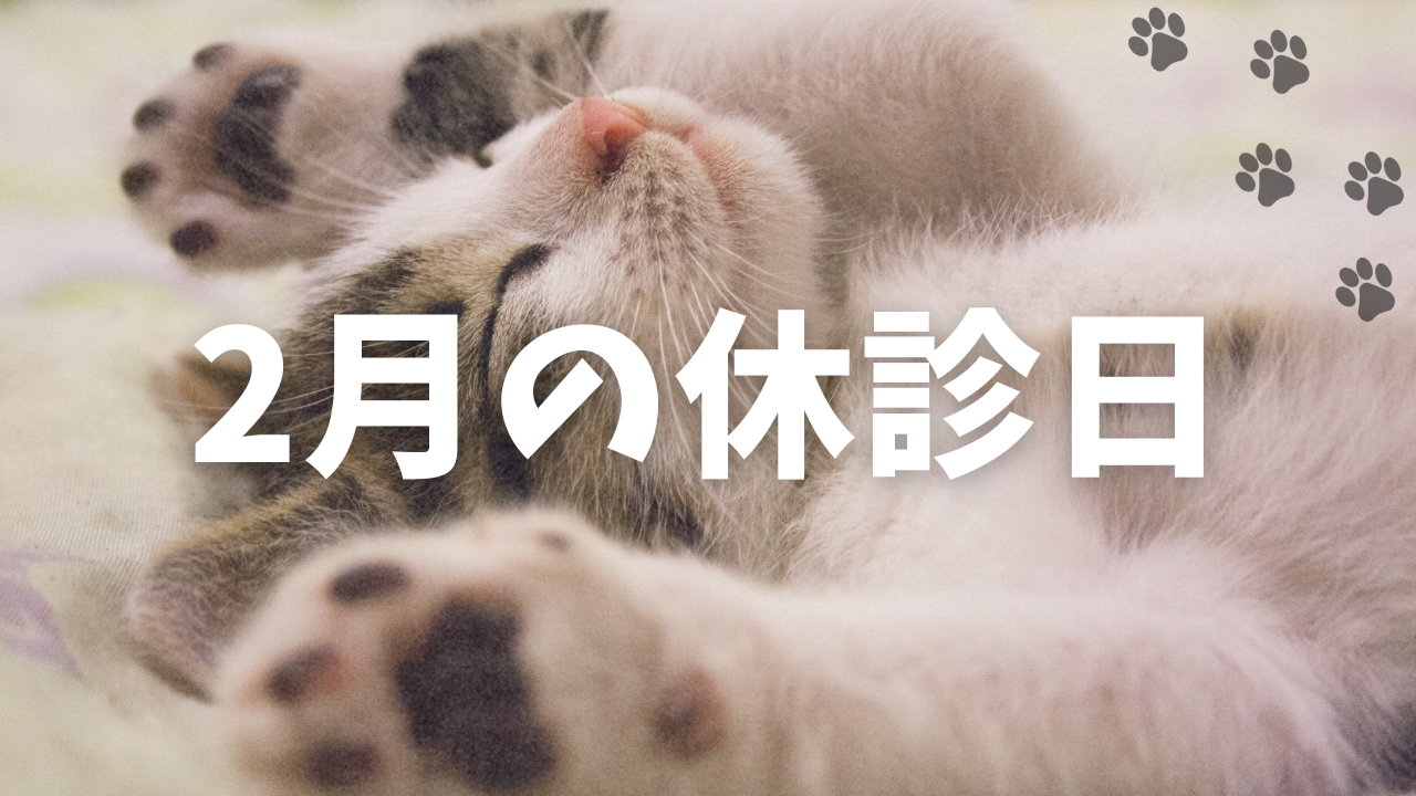 2月中の休診日のお知らせ